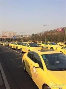 纳雍出租车爆料案件最新,真相浮出水面,警方全力追查